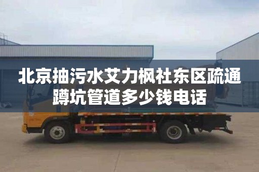 北京抽污水艾力枫社东区疏通蹲坑管道多少钱电话