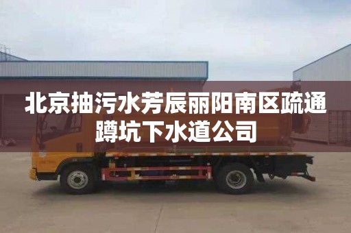 北京抽污水芳辰丽阳南区疏通蹲坑下水道公司