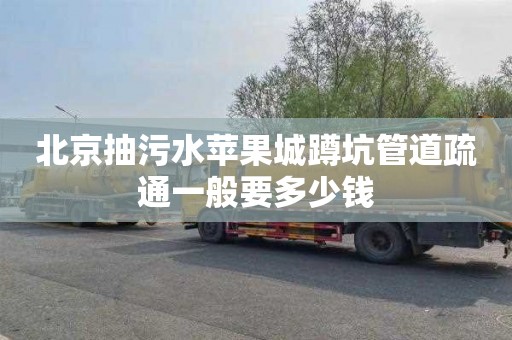北京抽污水苹果城蹲坑管道疏通一般要多少钱