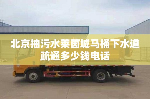 北京抽污水莱茵城马桶下水道疏通多少钱电话