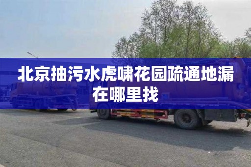 北京抽污水虎啸花园疏通地漏在哪里找
