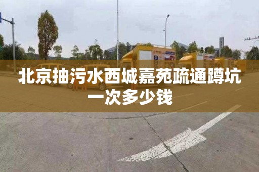 北京抽污水西城嘉苑疏通蹲坑一次多少钱