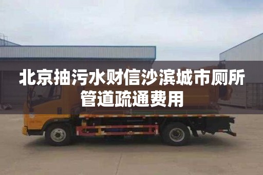 北京抽污水财信沙滨城市厕所管道疏通费用