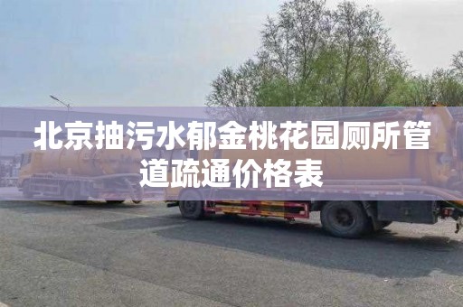 北京抽污水郁金桃花园厕所管道疏通价格表
