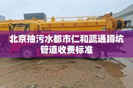 北京抽污水都市仁和疏通蹲坑管道收费标准