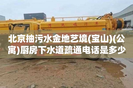 北京抽污水金地艺境(宝山)(公寓)厨房下水道疏通电话是多少