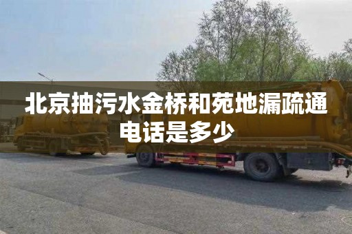 北京抽污水金桥和苑地漏疏通电话是多少