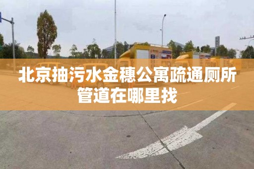 北京抽污水金穗公寓疏通厕所管道在哪里找
