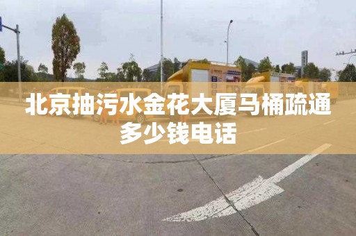 北京抽污水金花大厦马桶疏通多少钱电话