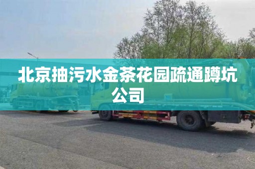 北京抽污水金茶花园疏通蹲坑公司