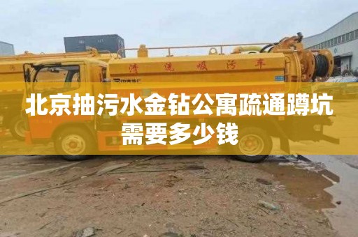 北京抽污水金钻公寓疏通蹲坑需要多少钱