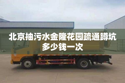 北京抽污水金隆花园疏通蹲坑多少钱一次