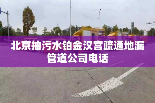 北京抽污水铂金汉宫疏通地漏管道公司电话