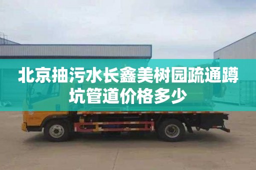 北京抽污水长鑫美树园疏通蹲坑管道价格多少