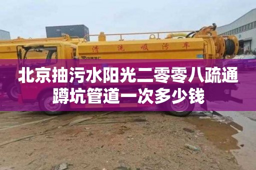 北京抽污水阳光二零零八疏通蹲坑管道一次多少钱
