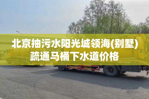 北京抽污水阳光城领海(别墅)疏通马桶下水道价格