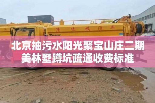 北京抽污水阳光聚宝山庄二期美林墅蹲坑疏通收费标准