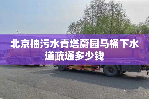 北京抽污水青塔蔚园马桶下水道疏通多少钱