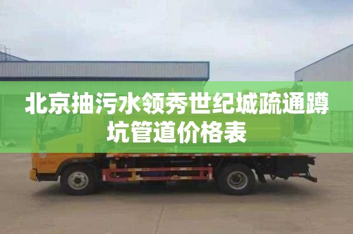 北京抽污水领秀世纪城疏通蹲坑管道价格表