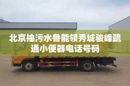 北京抽污水鲁能领秀城骏峰疏通小便器电话号码