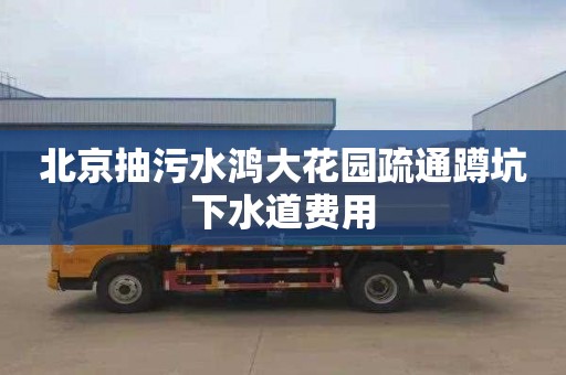 北京抽污水鸿大花园疏通蹲坑下水道费用