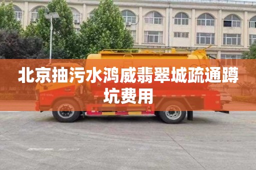 北京抽污水鸿威翡翠城疏通蹲坑费用