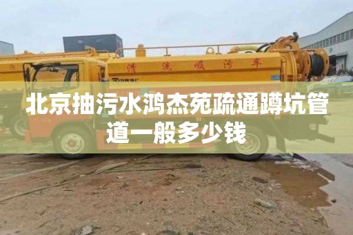北京抽污水鸿杰苑疏通蹲坑管道一般多少钱