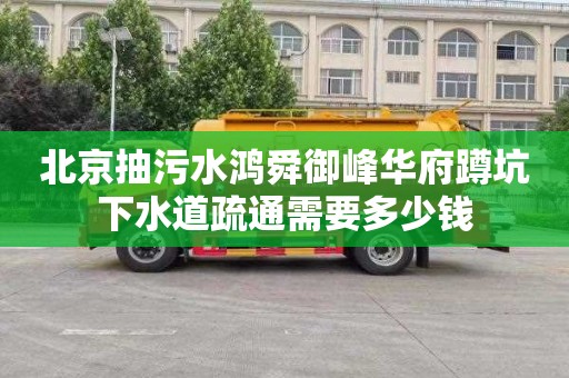 北京抽污水鸿舜御峰华府蹲坑下水道疏通需要多少钱