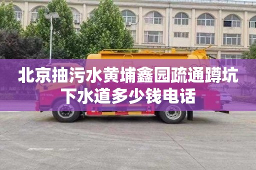 北京抽污水黄埔鑫园疏通蹲坑下水道多少钱电话