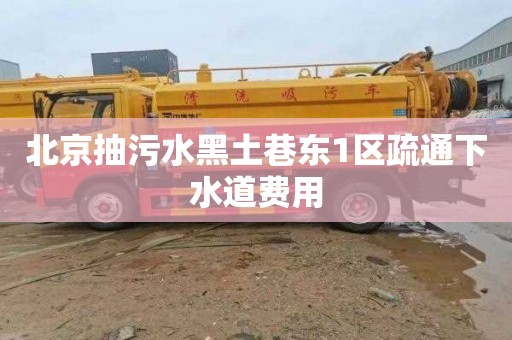 北京抽污水黑土巷东1区疏通下水道费用