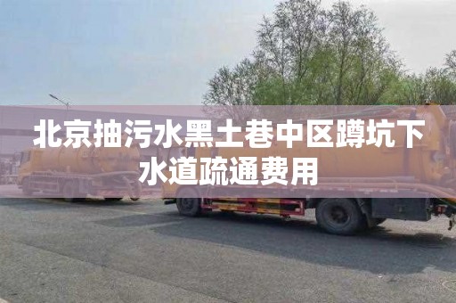 北京抽污水黑土巷中区蹲坑下水道疏通费用
