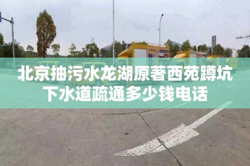 北京抽污水龙湖原著西苑蹲坑下水道疏通多少钱电话