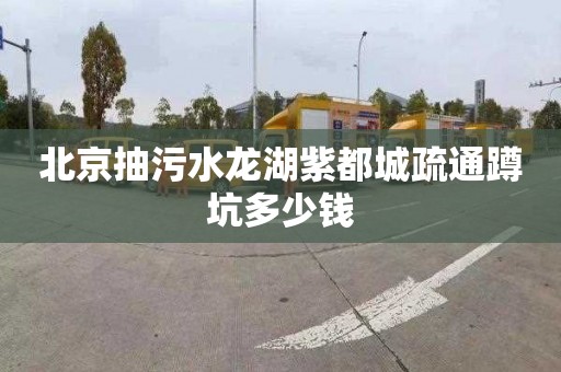 北京抽污水龙湖紫都城疏通蹲坑多少钱