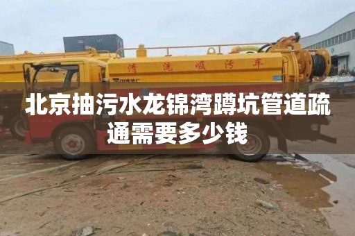 北京抽污水龙锦湾蹲坑管道疏通需要多少钱