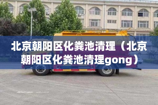 北京朝阳区化粪池清理（北京朝阳区化粪池清理gong）