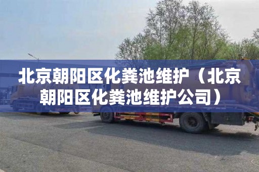 北京朝阳区化粪池维护（北京朝阳区化粪池维护公司）