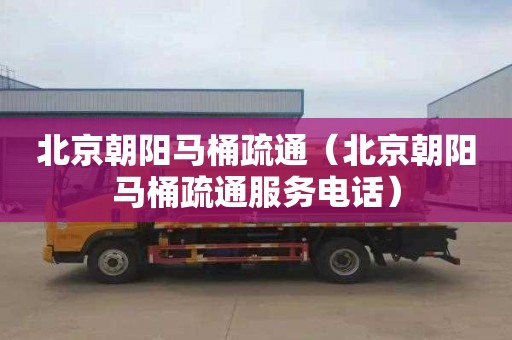 北京朝阳马桶疏通（北京朝阳马桶疏通服务电话）