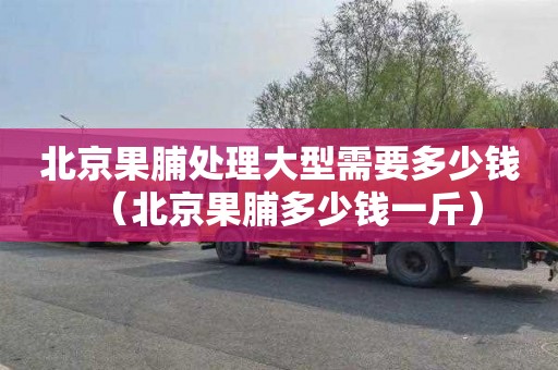 北京果脯处理大型需要多少钱（北京果脯多少钱一斤）