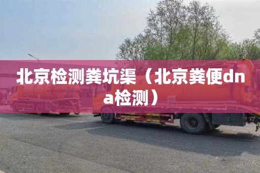 北京检测粪坑渠（北京粪便dna检测）