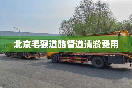 北京毛猴道路管道清淤费用