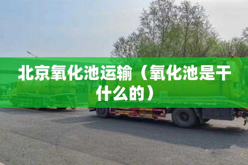 北京氧化池运输（氧化池是干什么的）