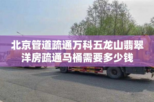 北京管道疏通万科五龙山翡翠洋房疏通马桶需要多少钱