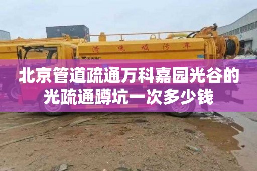 北京管道疏通万科嘉园光谷的光疏通蹲坑一次多少钱