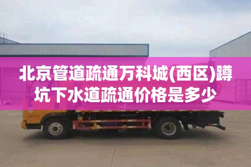 北京管道疏通万科城(西区)蹲坑下水道疏通价格是多少