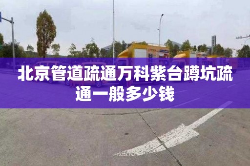 北京管道疏通万科紫台蹲坑疏通一般多少钱