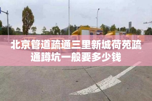 北京管道疏通三里新城荷苑疏通蹲坑一般要多少钱