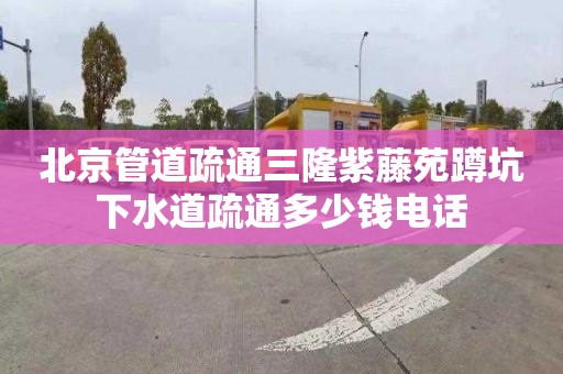 北京管道疏通三隆紫藤苑蹲坑下水道疏通多少钱电话