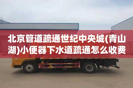 北京管道疏通世纪中央城(青山湖)小便器下水道疏通怎么收费