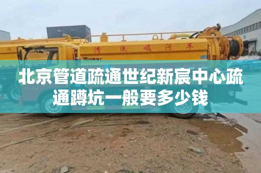 北京管道疏通世纪新宸中心疏通蹲坑一般要多少钱