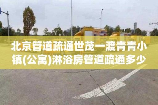北京管道疏通世茂一渡青青小镇(公寓)淋浴房管道疏通多少钱电话